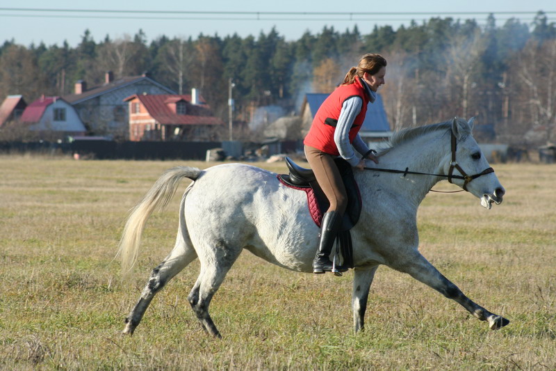 IMG_1189.jpg1.jpg"%20height="533"%20width="800